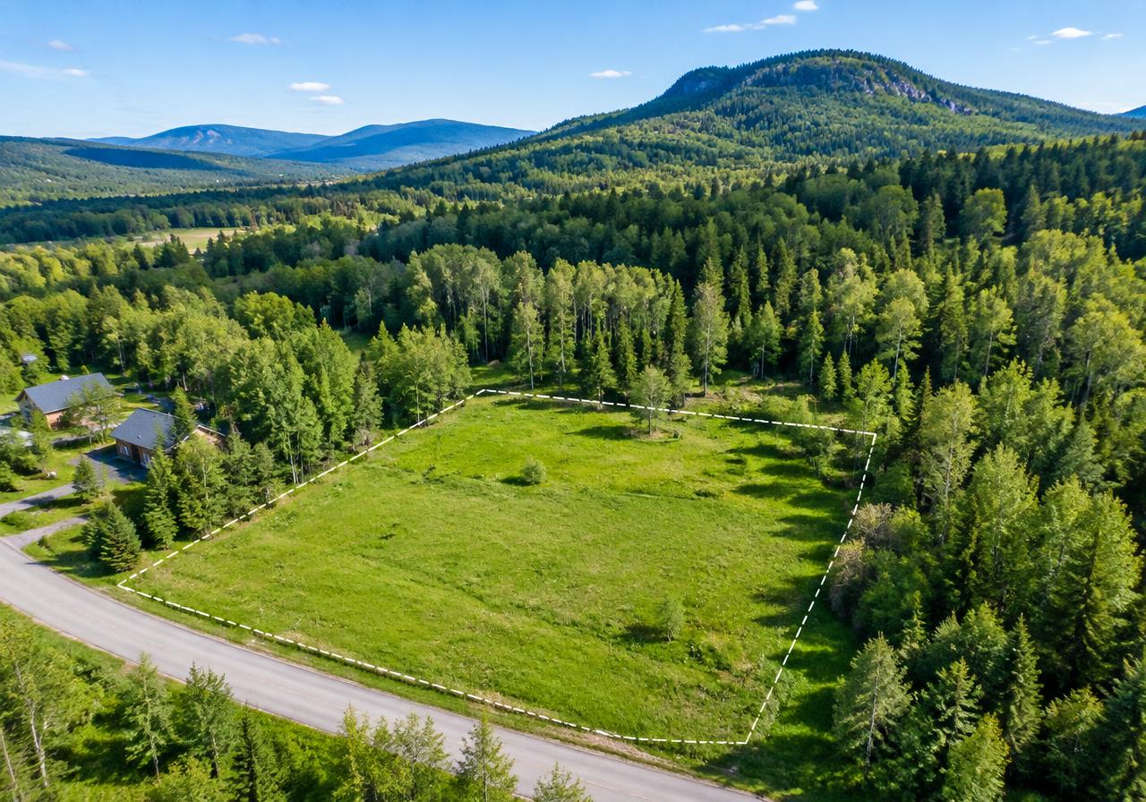 [DEMO] Teren intravilan lângă pădure